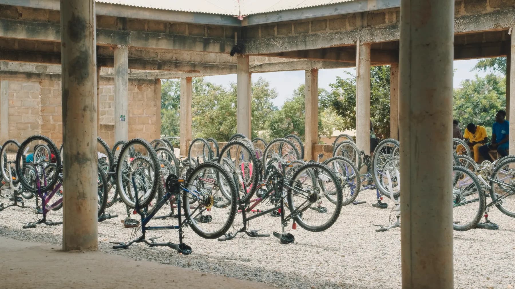 Rows of bicycles lined up under a pavilion, ready for handover