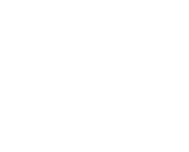 Polar26 wordmark, Stacked · Light